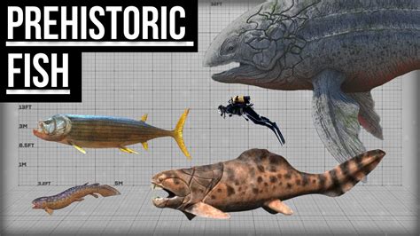 ancient fish|Prehistoric Fish Pictures and Profiles .